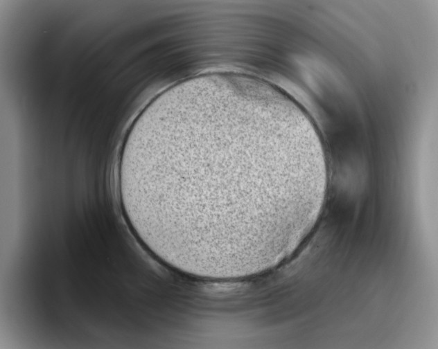 X0000096171290200802151427