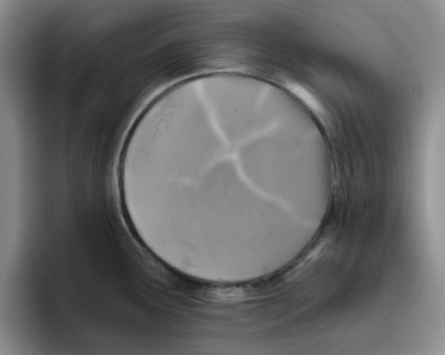 X0000096171291200802151427