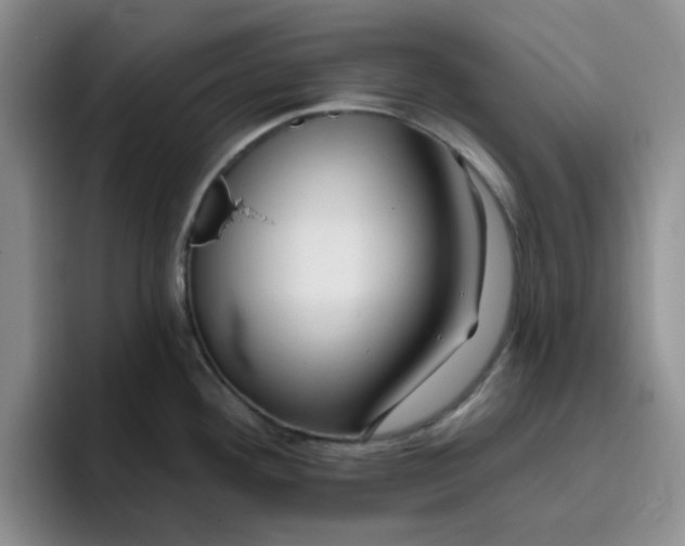 X0000096171292200802151427