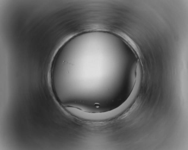 X0000096171293200802151427