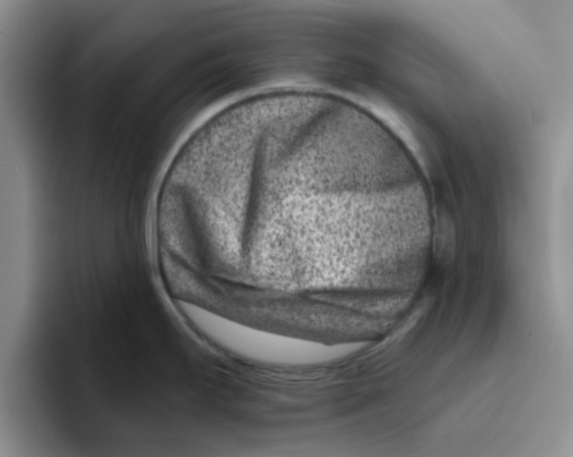 X0000096171295200802151427