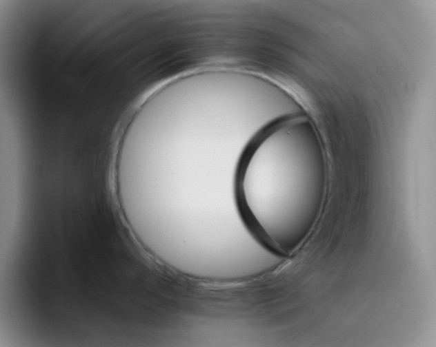 X0000096171296200802151427