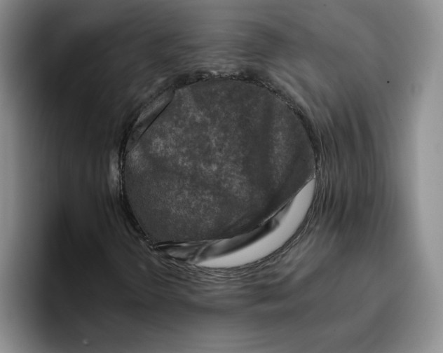 X0000096171298200802151426