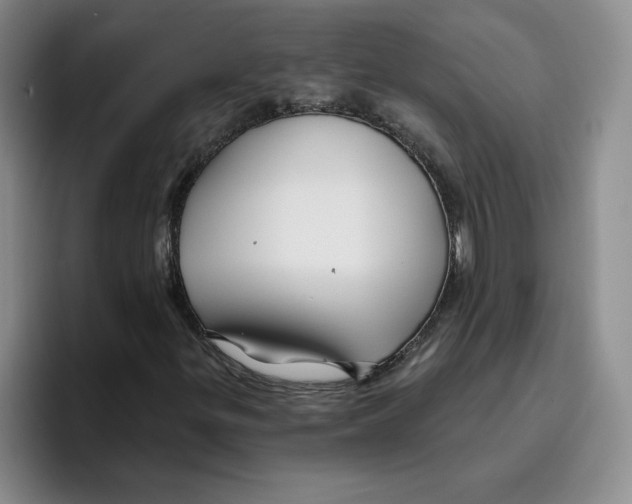 X0000096171299200802151426