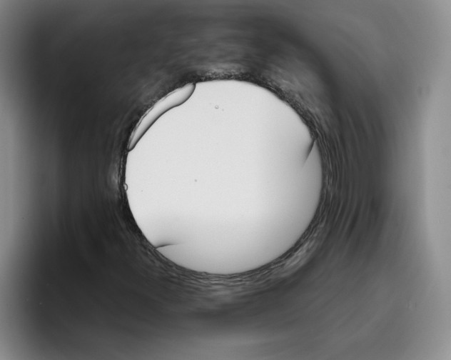 X0000096171300200802151426