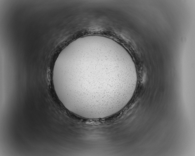 X0000096171301200802151426