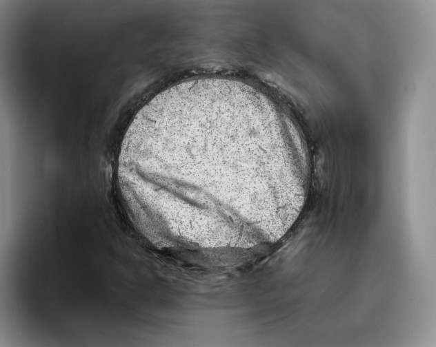 X0000096171302200802151427