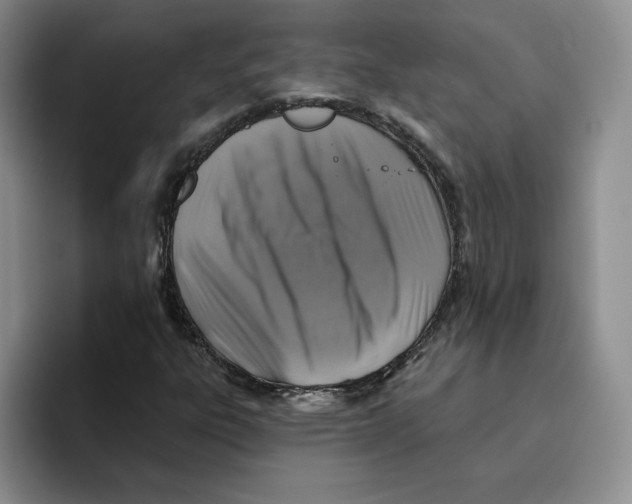 X0000096171303200802151427