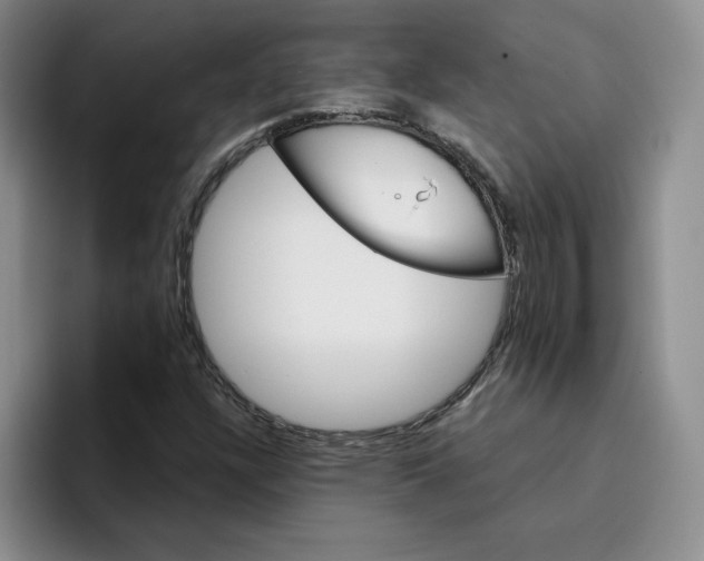 X0000096171304200802151427