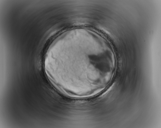 X0000096171306200802151427