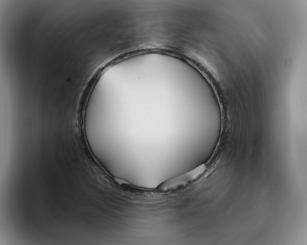 X0000096171308200802151427