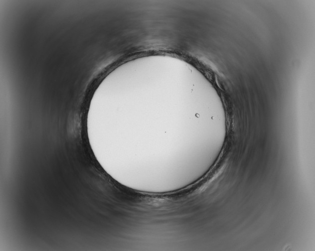 X0000096171309200802151427