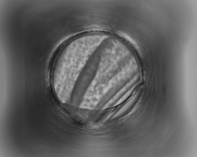 X0000096171310200802151427