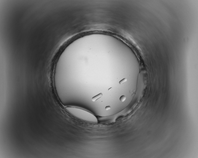 X0000096171312200802151427