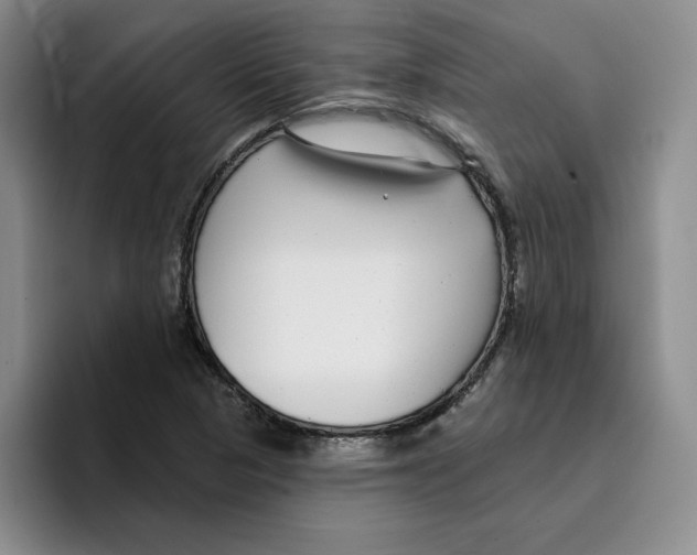 X0000096171313200802151427