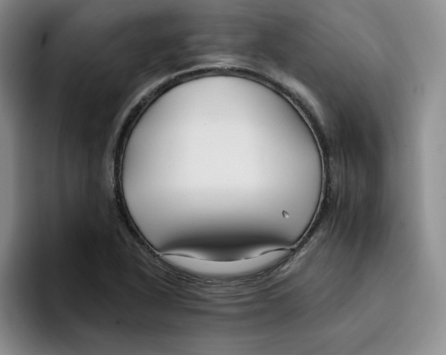 X0000096171318200802151427