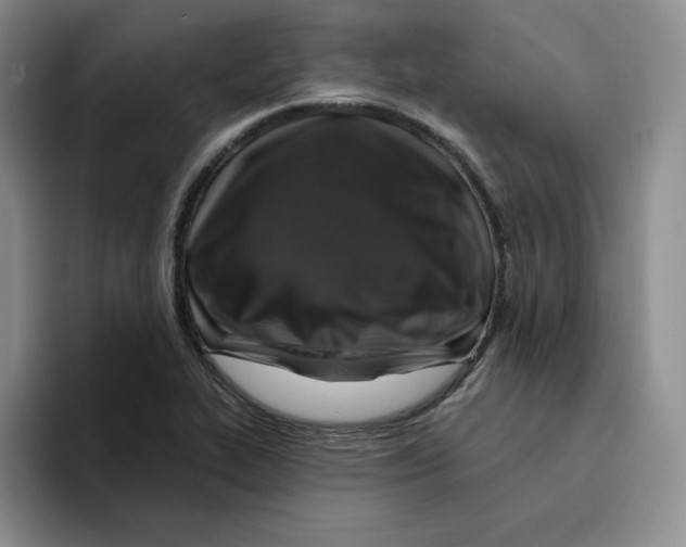 X0000096171319200802151427