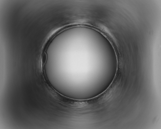 X0000096171320200802151427