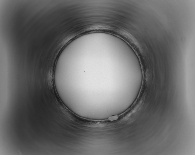 X0000096171321200802151427