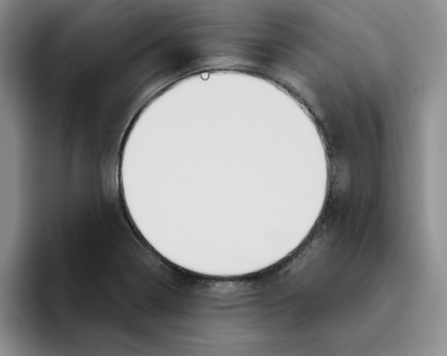 X0000096171322200802151427