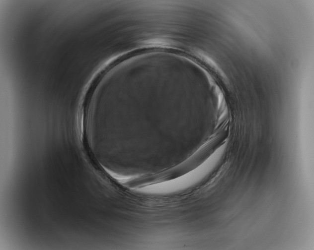 X0000096171323200802151427