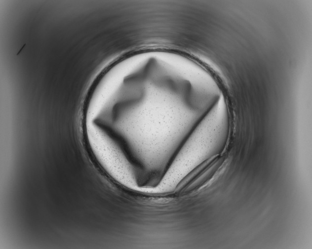 X0000096171325200802151427