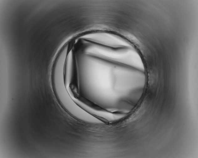 X0000096171326200802151427