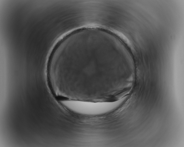 X0000096171327200802151427