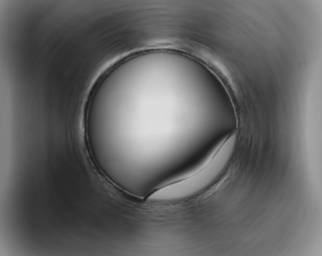 X0000096171328200802151427