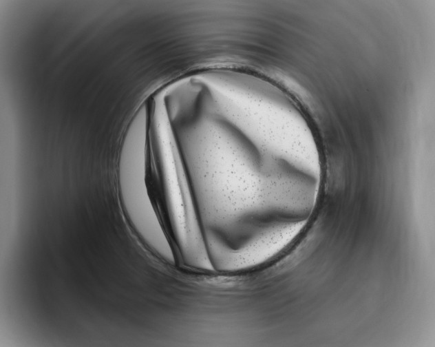 X0000096171329200802151427