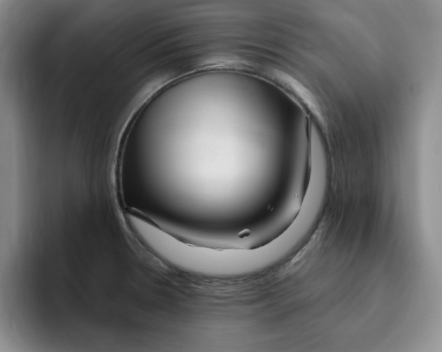 X0000096171330200802151427