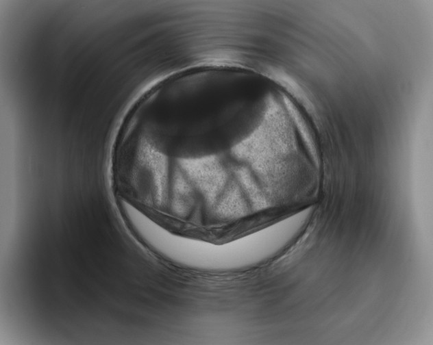 X0000096171331200802151427