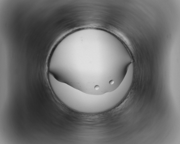 X0000096171332200802151427