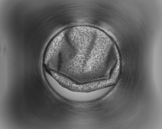 X0000096171333200802151427