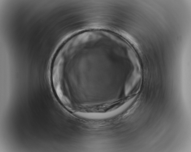 X0000096171334200802151427