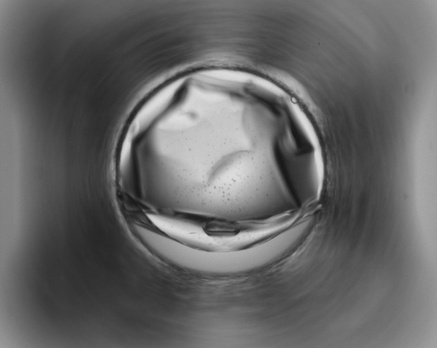 X0000096171335200802151427