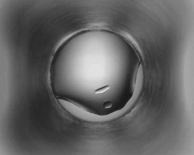 X0000096171336200802151427