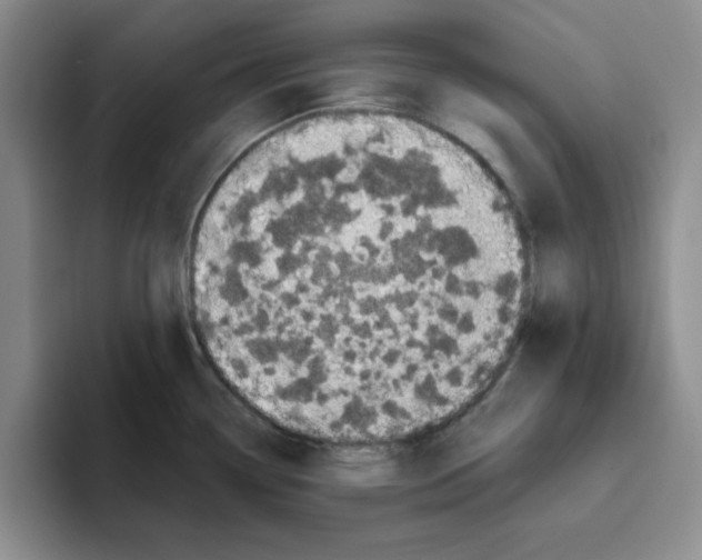 X0000096171338200802151427