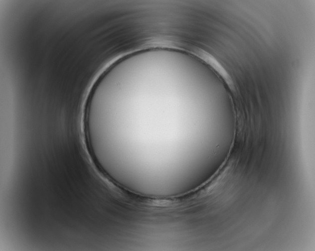 X0000096171339200802151427