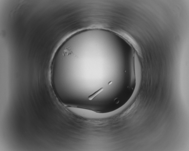 X0000096171340200802151427