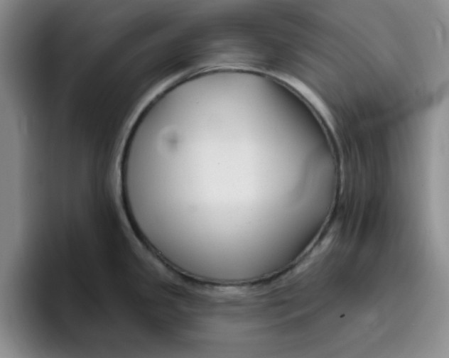 X0000096171341200802151427