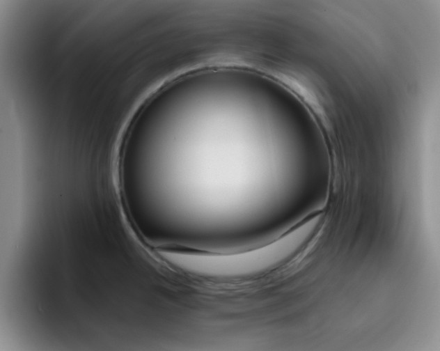 X0000096171342200802151427