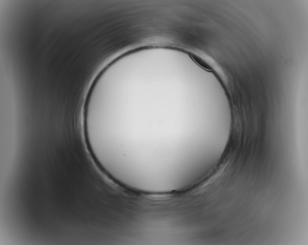 X0000096171343200802151427