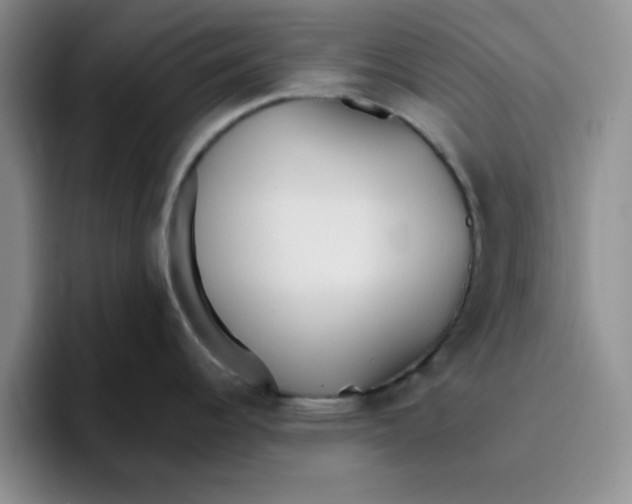 X0000096171344200802151427