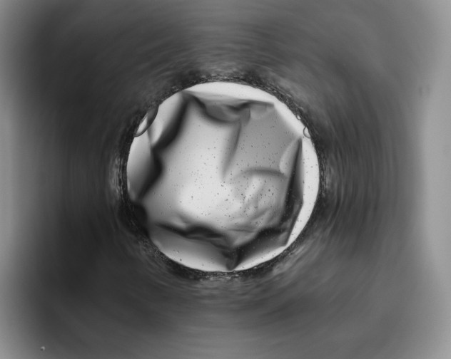 X0000096171346200802151426