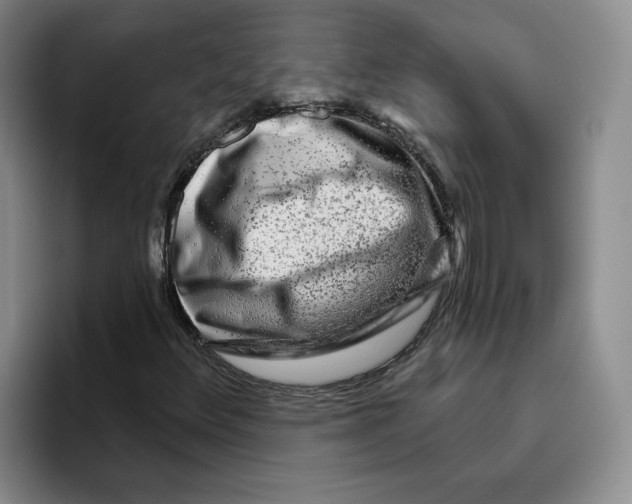 X0000096171348200802151426