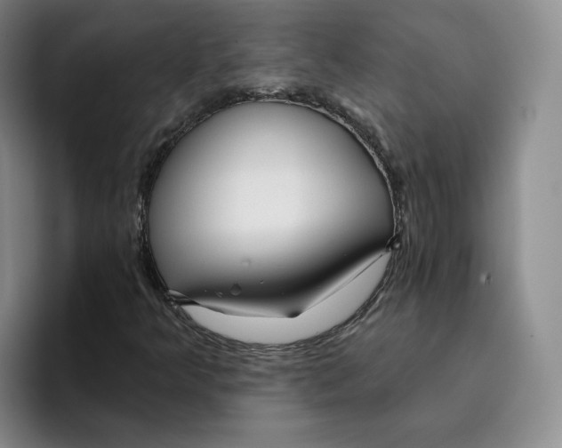 X0000096171349200802151426