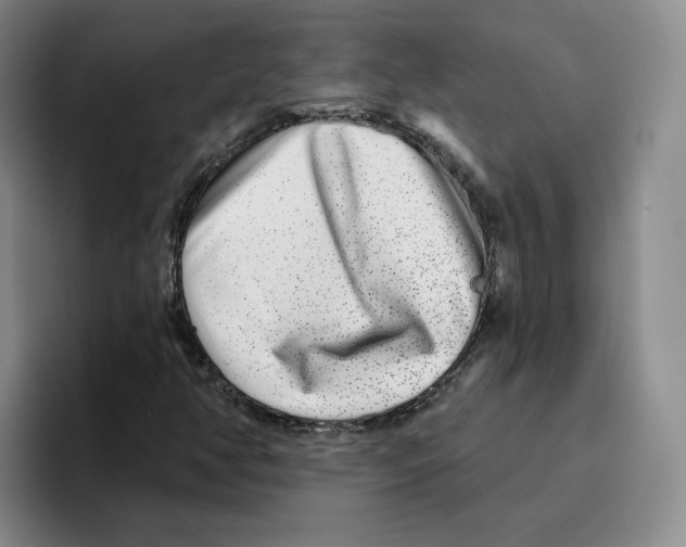 X0000096171350200802151426