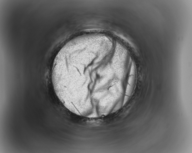 X0000096171351200802151426