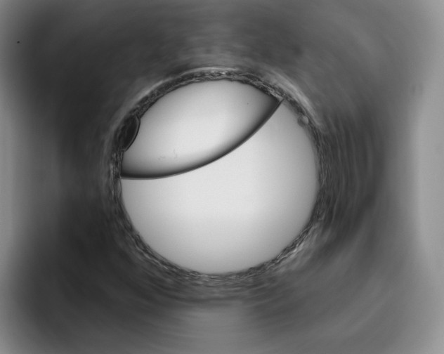 X0000096171352200802151426